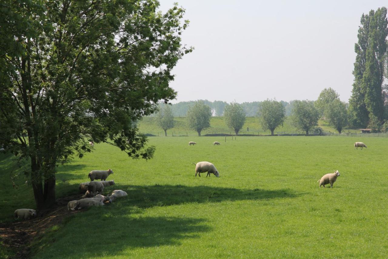 B&B Buitenwaard Oosterhout  Экстерьер фото